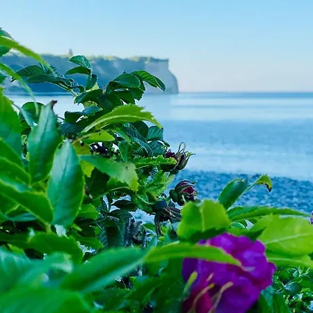 Lägenhet Albert-inn-glowe - Barrierefrei & 3 Schlafzimmer & Coworking & Strandkorb-saisonal & Sauna Im Haus & Fahrraeder *