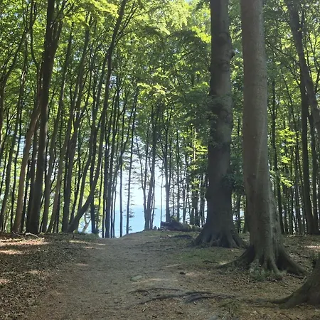 Albert-inn-glowe: Barrier-free Retreat With Coworking & Sauna Glowe